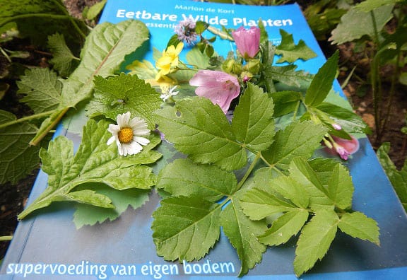 Marion-de-Kort-boek-met-eetbare planten
