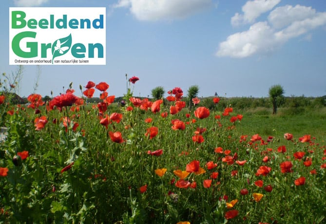 Beeldend-Groen Hovenier voor natuurlijke tuin